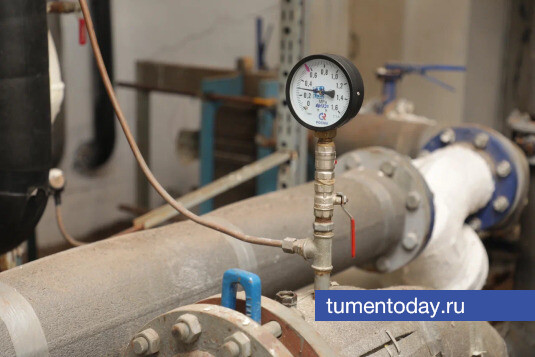 ����: tumentoday.ru