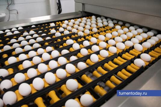  ���������������� ��������� ��������� ������������ ������� ������ 