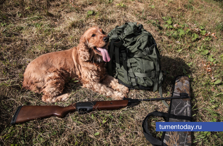 Фото: tumentoday.ru