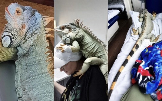 ����: tumentoday.ru