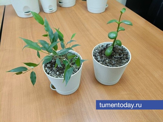 Фото: tumentoday.ru