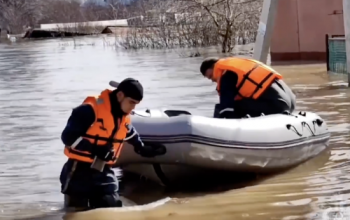 Сотрудники МЧС спасли двух человек в подтопленном поселке Тюменской области