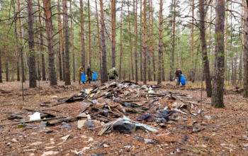 Тюменские экологи вывезли из леса 5,5 тонны мусора