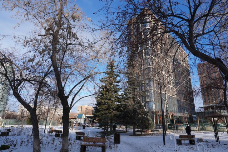 В двух новых скверах Тюмени высадили деревья