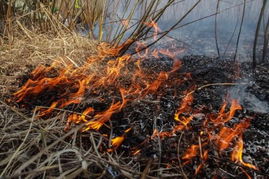 На юге Тюменской области 13 мая  объявлена чрезвычайная пожароопасность