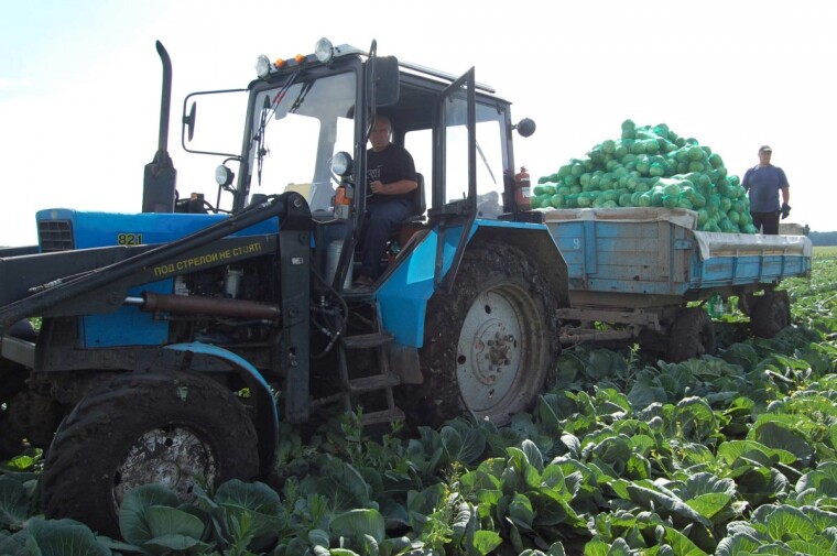 Продовольственная безопасность