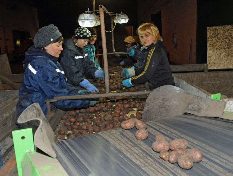 Продовольственная безопасность
