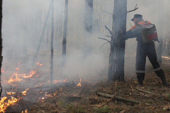 В Тюменской области ликвидировали лесной пожар на площади 1 гектар