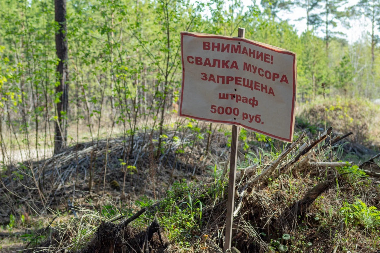 Фото Сергея Мжельского