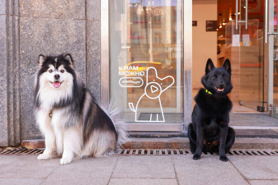 В Тюменской области появились pet-friendly магазины 