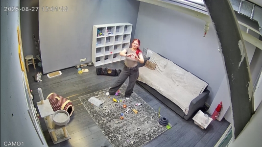 Тюменские волонтеры «Потеряшек» выиграли президентский грант на выставку животных