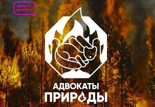Фото из официальной группы в ВКонтакте "Мой портал | Тюмень"