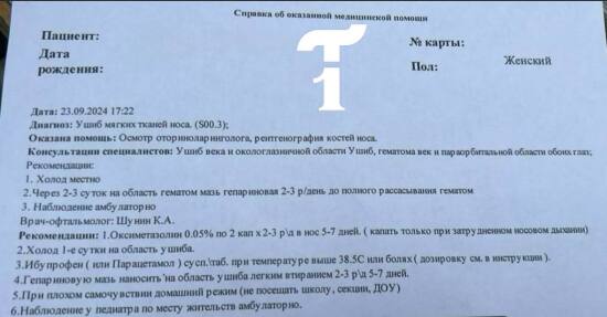 В полиции устанавливают подробности избиения школьницы в тюменском селе