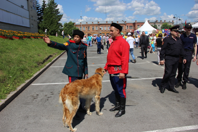 Ялуторовские казаки