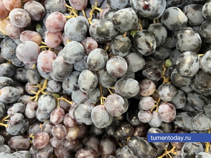 Как подготовить виноград к зимовке правильно?