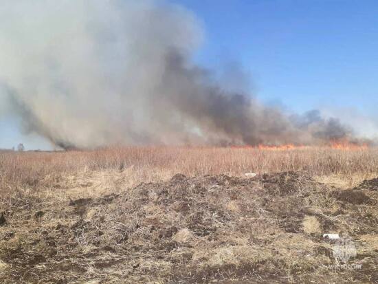 В Тюмени нашли виновника крупного ландшафтного пожара на Велижанском тракте