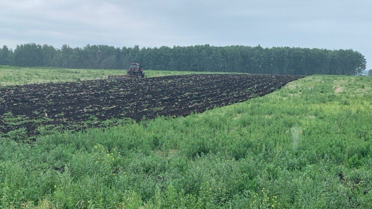 Земли обанкротившегося аграрного предприятия Ишимского района нашли нового арендатора