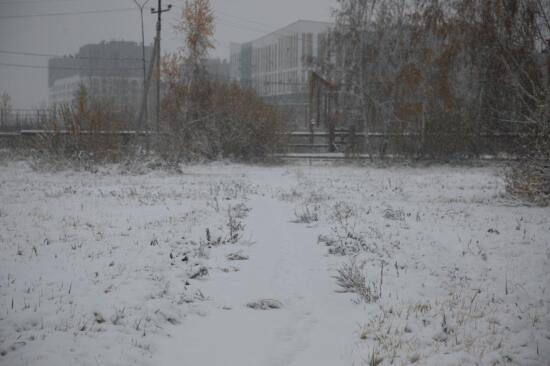 В Тюменской области прогнозируют сильный ветер и мокрый снег