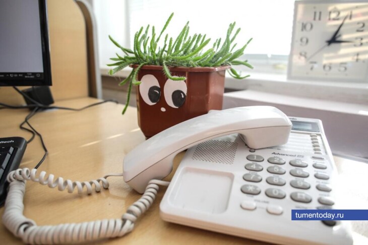 В Тюменской области работает горячая линия по вопросам защиты детей