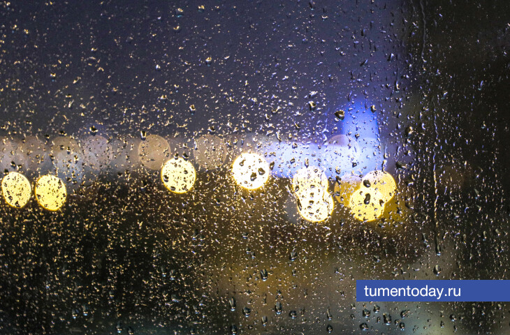 В Тюмени 20 июня будет дождливо, но тепло