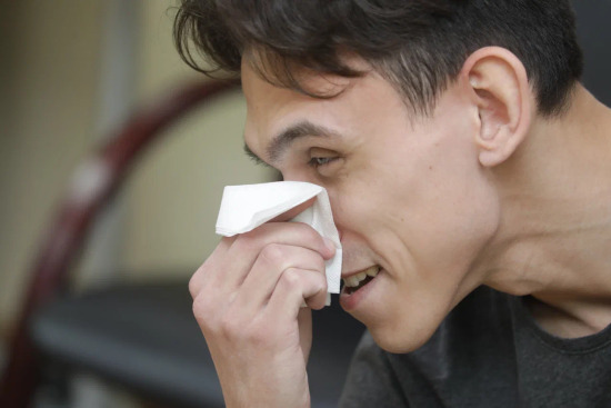 Аллергиков предупредили о пылении березы в Тюмени 