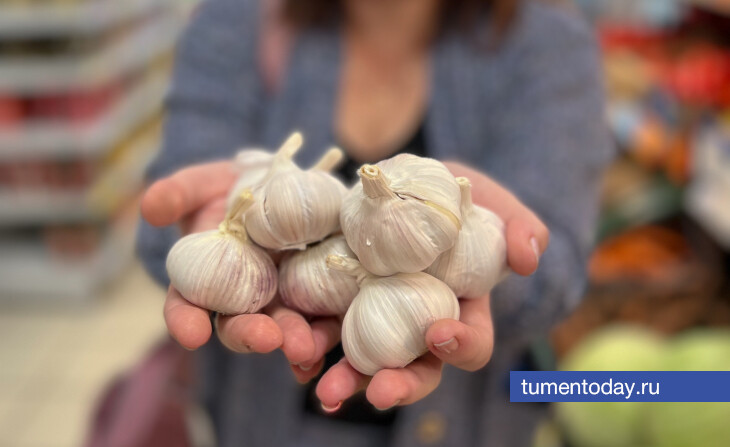 Когда убирать озимый чеснок, рассказали тюменские агрономы