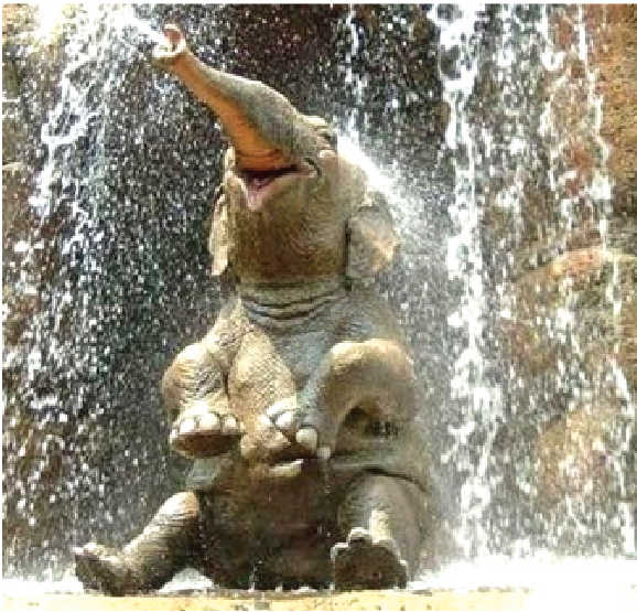 «Высоко сижу – далеко гляжу...»