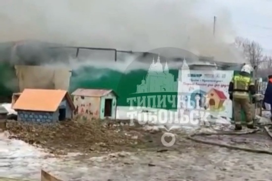 В Тобольске сгорел частный приют для животных 