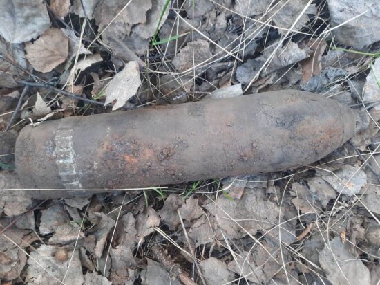 В Омутинском районе обнаружили артиллерийский снаряд времен гражданской войны 