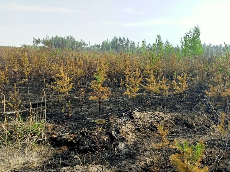 Фото Евгении Ноговициной