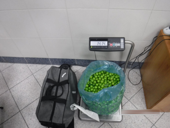 Тюменские таможенники пресекли ввоз 14 килограммов алычи без документов