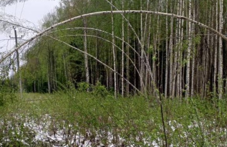 В 11 населенных пунктах Уватского района восстановлено энергоснабжение