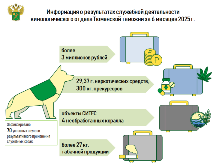 Служебные собаки Тюменской таможни обнаружили более 3 миллионов рублей
