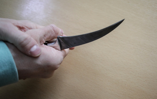 Тоболяк 22 ударами ножа убил нового знакомого за оскорбление матери