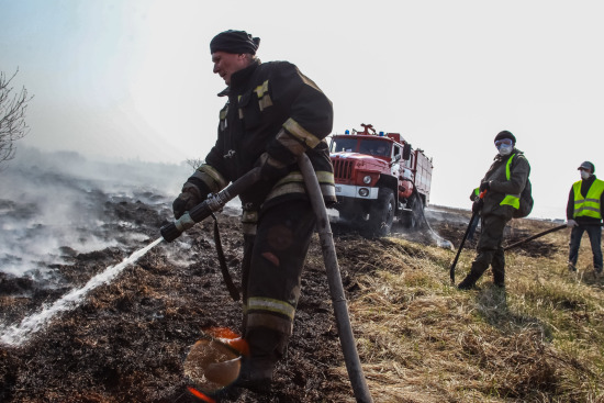 За сутки в Тюменской области ликвидировано 6 лесных пожаров на площади 23,5 га
