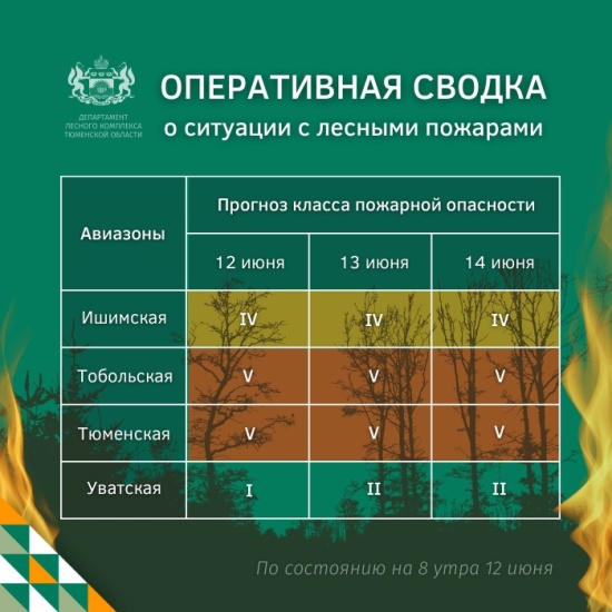 В Тюменской области ликвидированы все лесные пожары