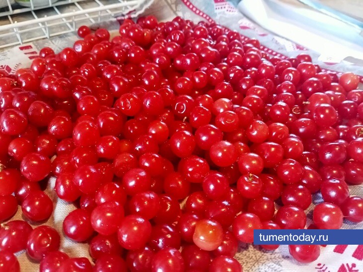 Тюменский завод представил новые виды снеков для взрослых и детей