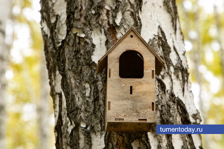 27 сентября в Тюмени температура воздуха опустится до +7 градусов