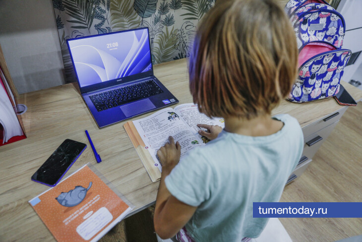 В Тюменской области каждый десятый ребенок сталкивался с кибербуллингом