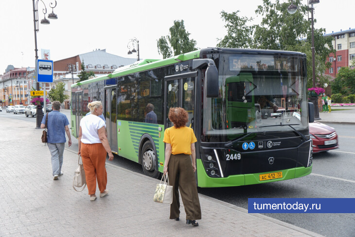 Почему общественный транспорт Тюмени превратился в поле битвы?