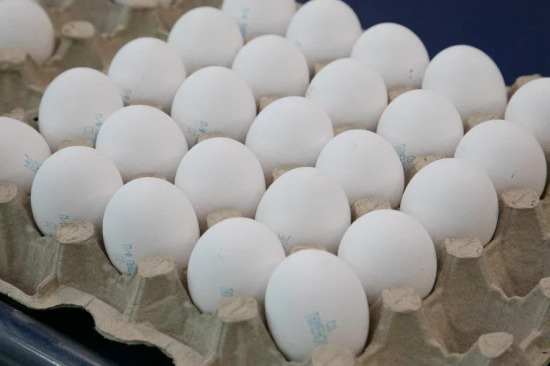 Проверку стоимости куриных яиц в гипермаркетах проводит ФАС