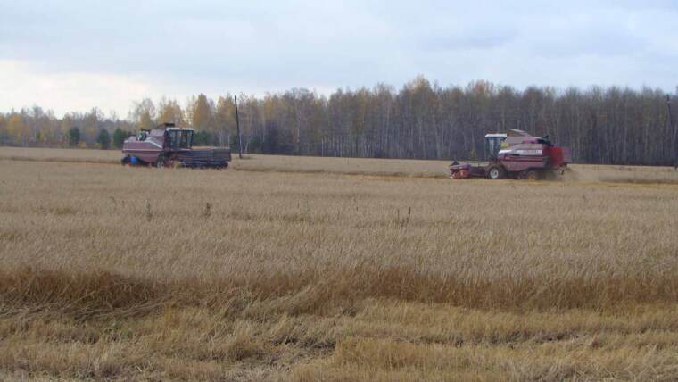 «К земле надо с умом относиться…»