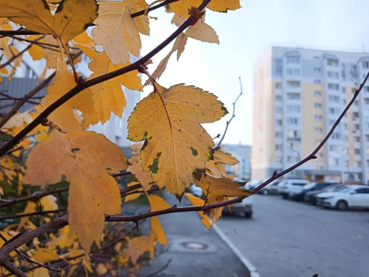 Фото Ольги Боровиковой