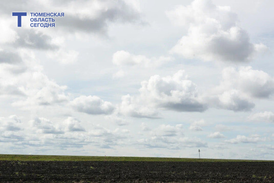 В Викуловском округе инвесторам предлагают построить экодеревню и ферму на 400 голов