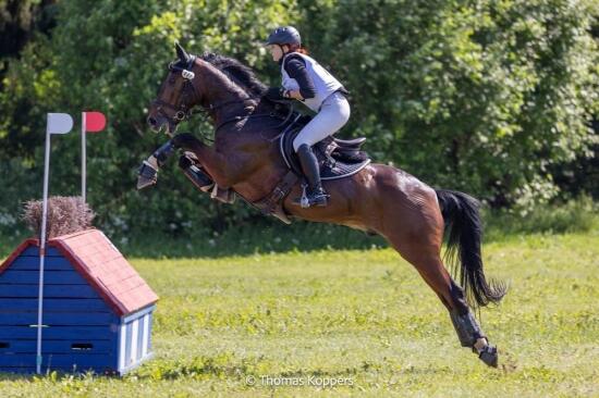 Тюменка победила на Международных соревнованиях по конному спорту