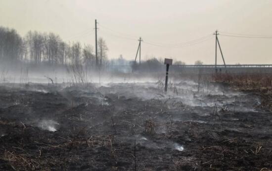 Рослесхоз подтвердил готовность Тюменской области к пожароопасному сезону