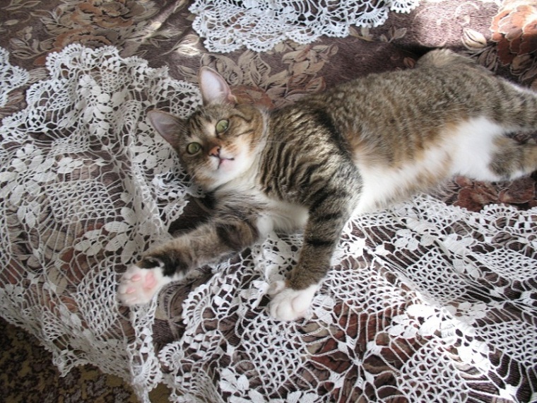 Ишимская кружевница