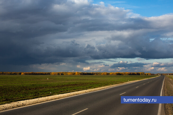 На дороге Тюмень – Омск введены ограничения из-за дорожных работ