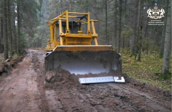 В Тюменской области реконструируют и построят более 80 километров лесных дорог