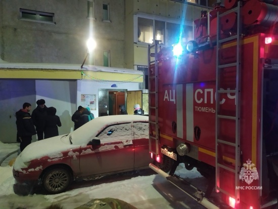 В Тюмени из горевшей многоэтажки на улице Малой Боровской спасли 20 человек